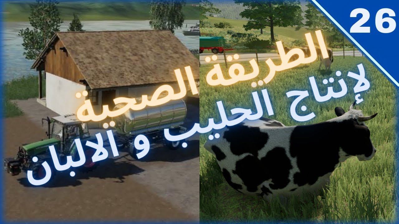 ابقار الالبان او الحليب الطرق الصحيحة   #farmingsimulator22  ------ سلسة محاكي الزراعة #26