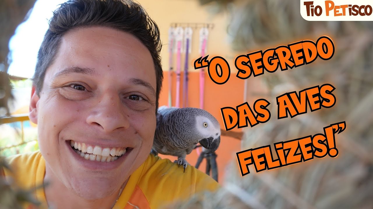 Enriquecimento Ambiental para sua AVE - Abrindo a PiuBox e Mostrando Como Usar TUDO na Prática!”
