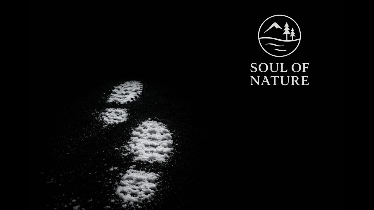 Snow Footsteps in the Forest ❄️ Black Screen for Sleep