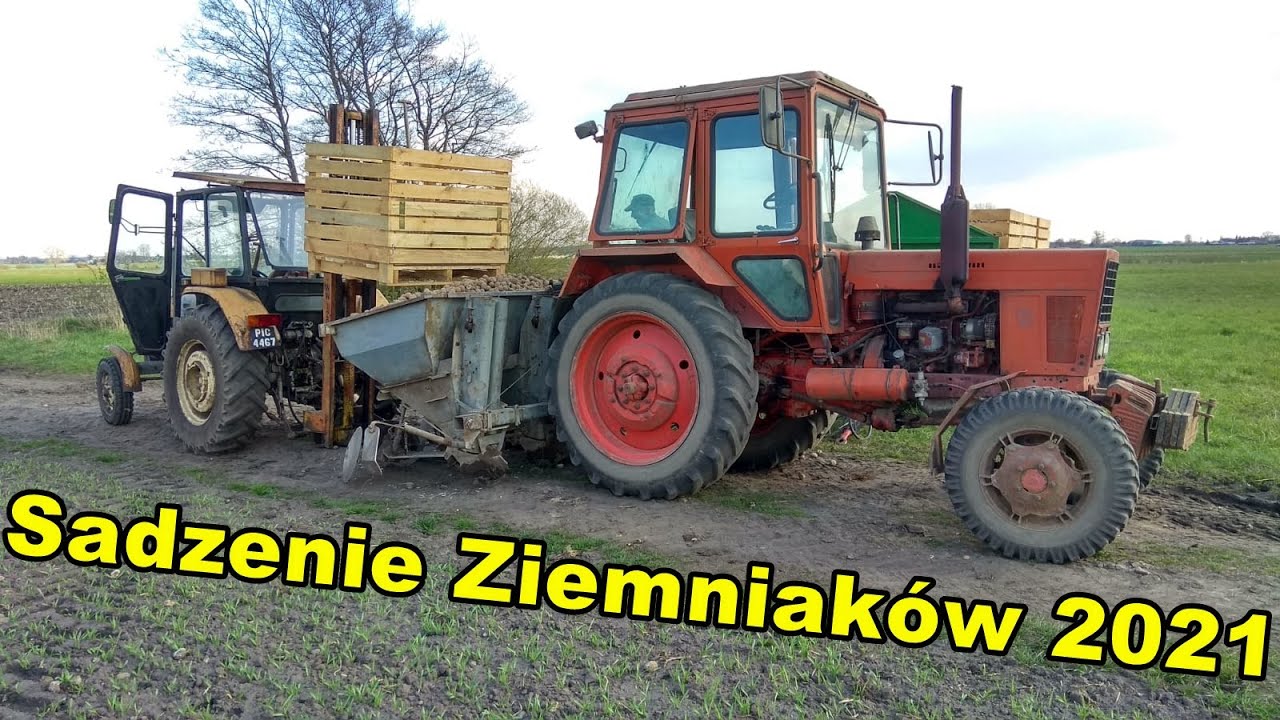 Sadzenie ziemniaków przemysłowych 2021 | Ustawianie Sadzarki! | Sadzenie ze skrzyń | Parametry pracy