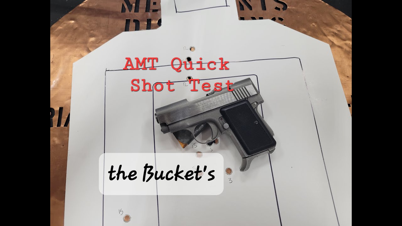 AMT Backup Quick Shots