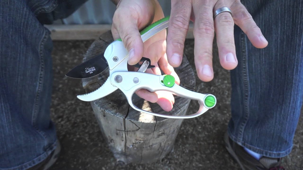 Ratchet pruner review -  from Cates Garden