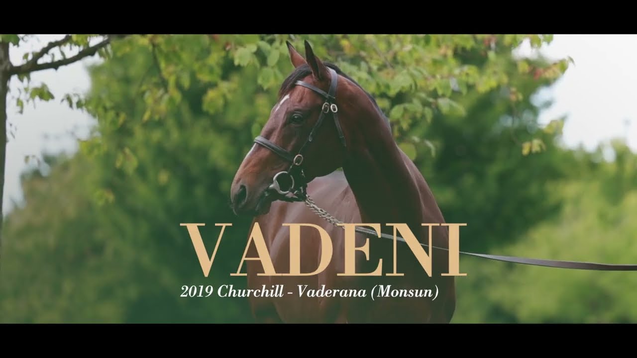 VADENI 2025