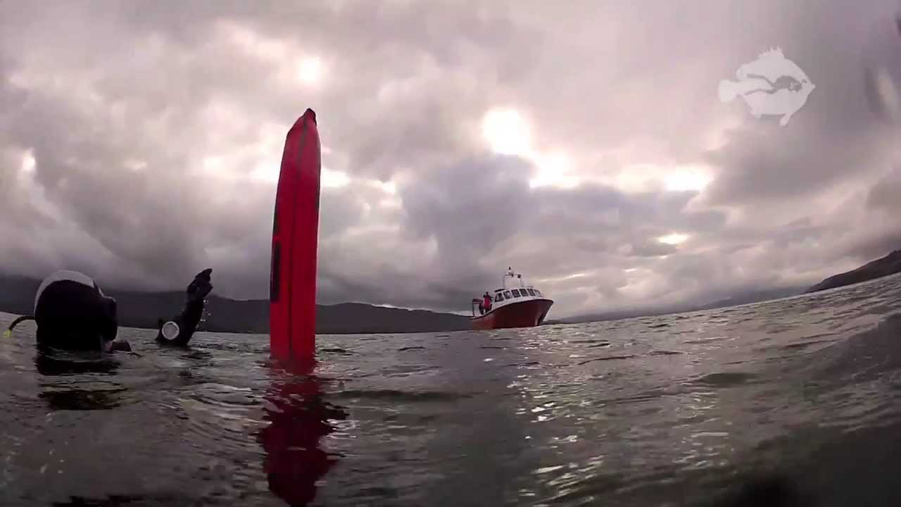 Diving on the John Preston Wall (Mull)