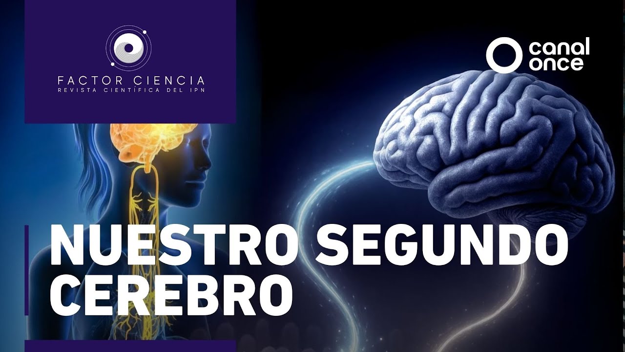 Factor Ciencia - Nuestro segundo cerebro (04/11/2025)