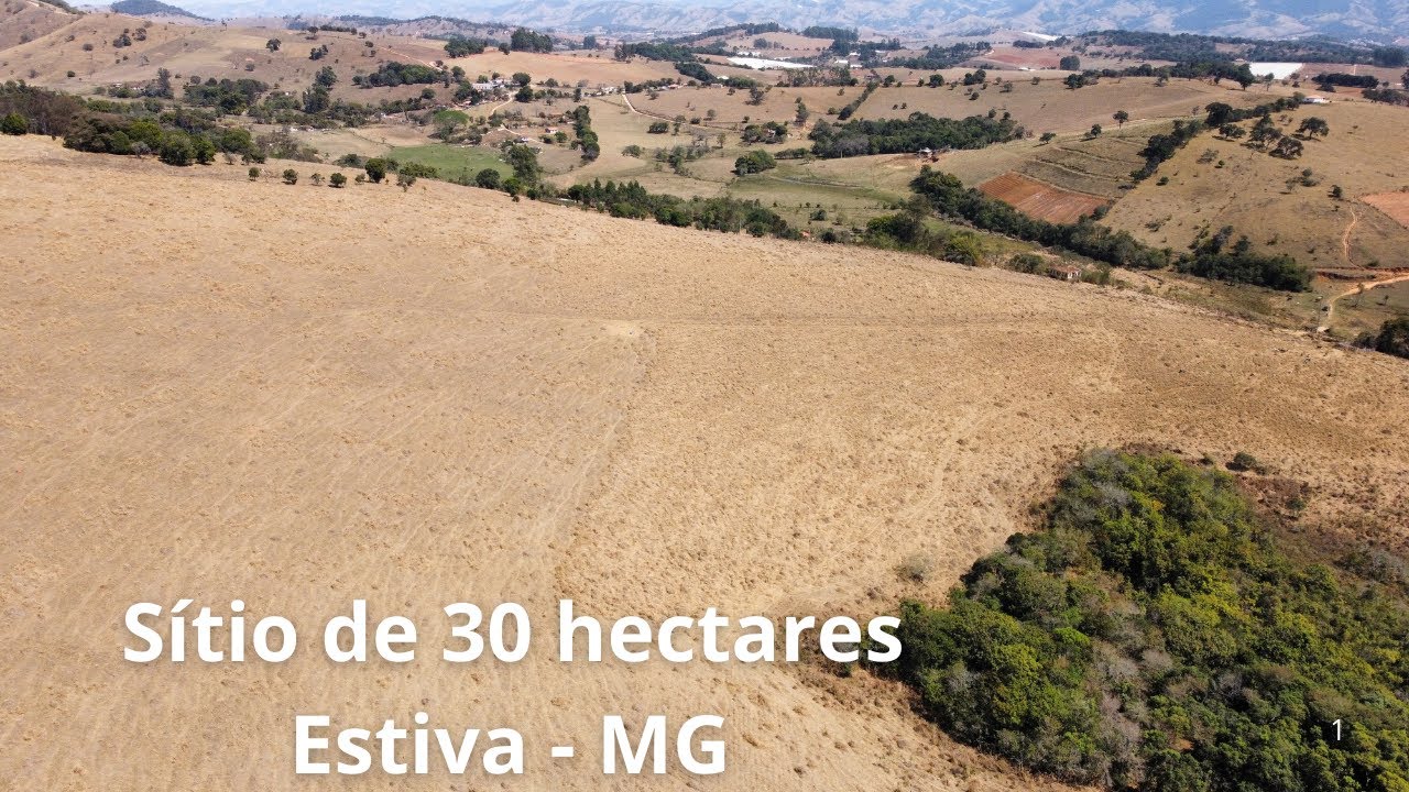 Com Nascente, Reserva e Mata Nativa. Ideal para Criação de Gado Leiteiro ou de Corte.