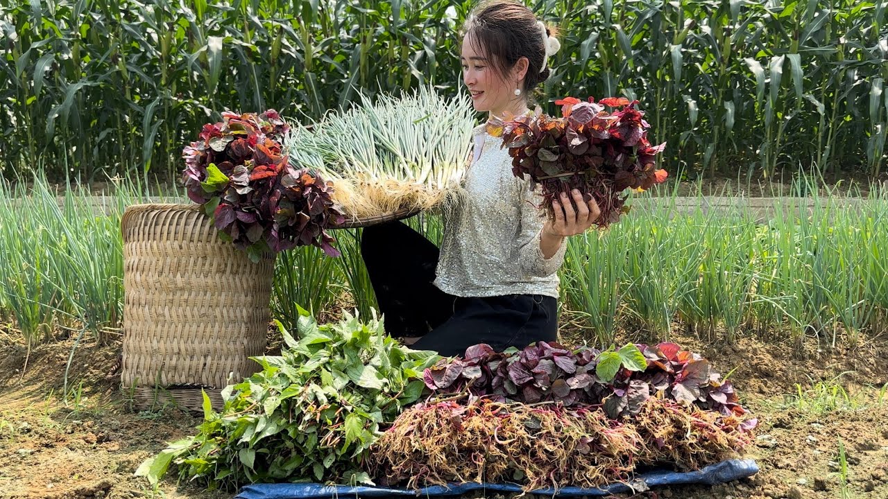 Harvesting Amaranth and Onions to the market sell, Vàng Hoa