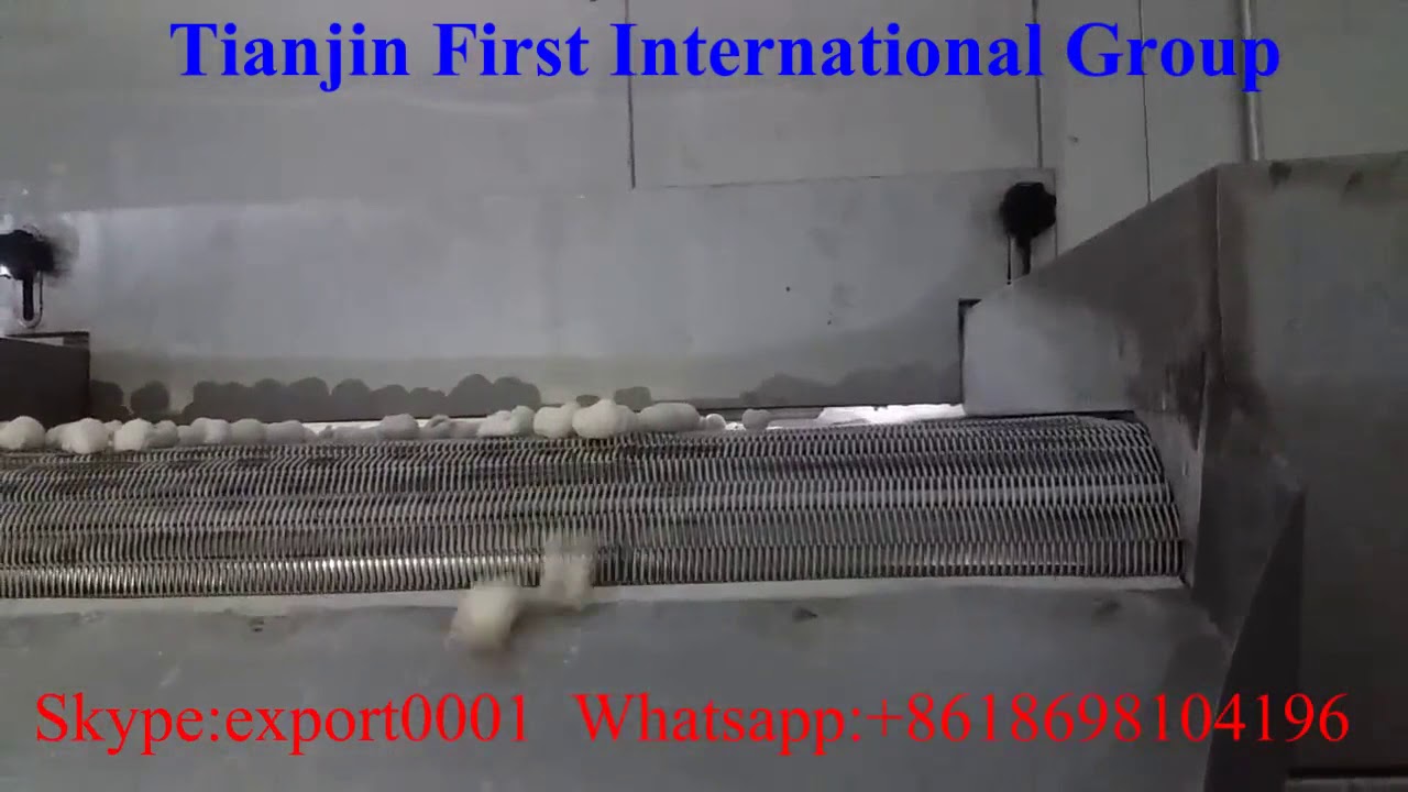 IQF tunnel quick-freezing equipment for longan  processing