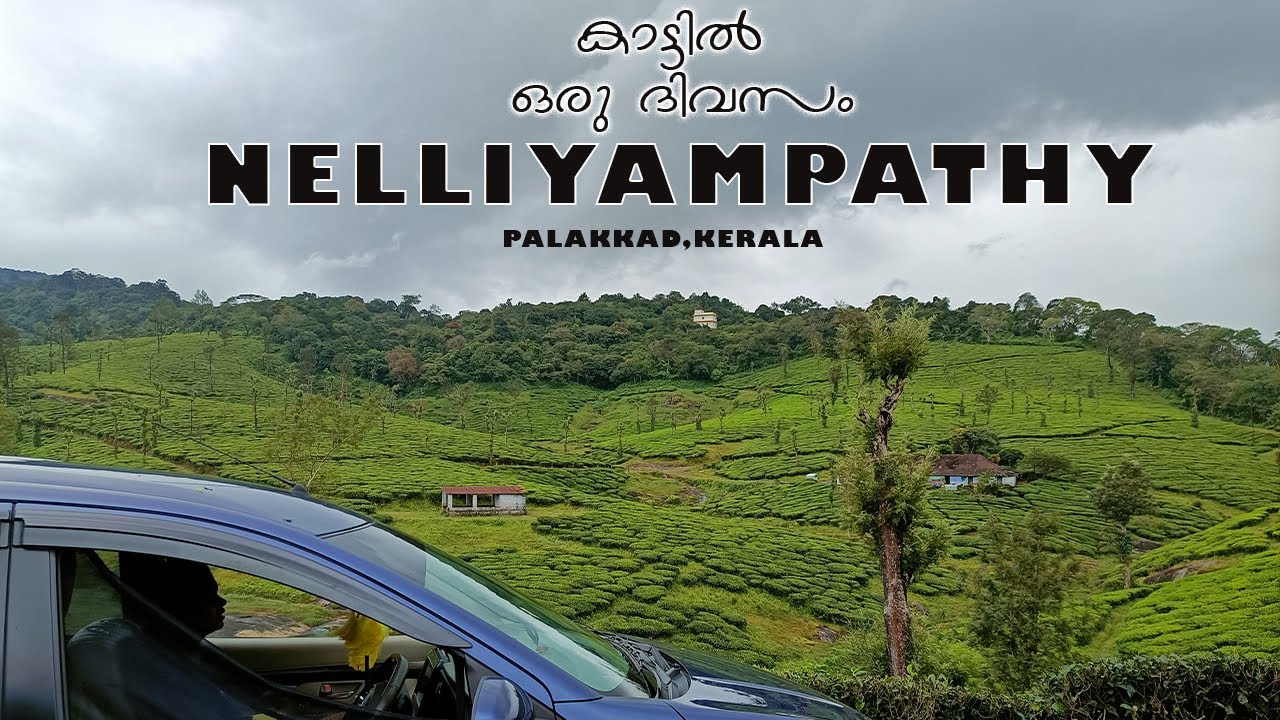 Nelliyampathy | WOODS VILLE | Kailas estate | Palakkad | Kerala | Malayalam Vlog