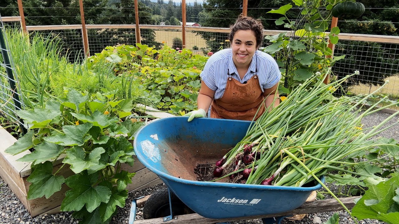Using the Abundant Harvest to Make an Amazing Dinner!