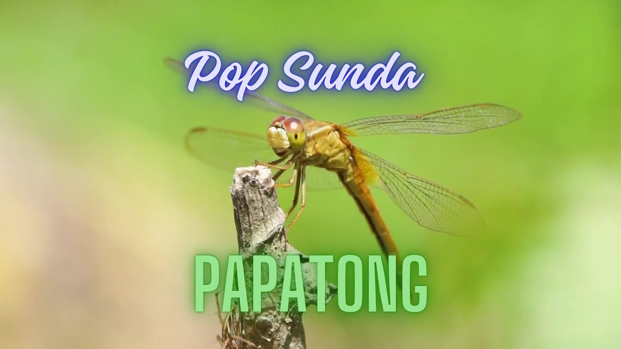 LAGU SUNDA PAPATONG - Voc. DARSO   #popsunda, #lagusunda