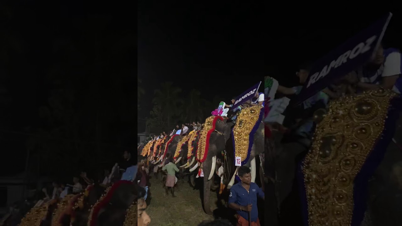 Thrithala fest