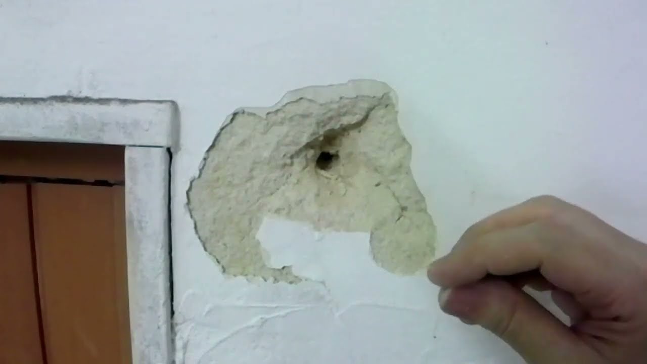 Come stuccare un buco nel muro  Piccolo o grande in 30 secondi-TG4