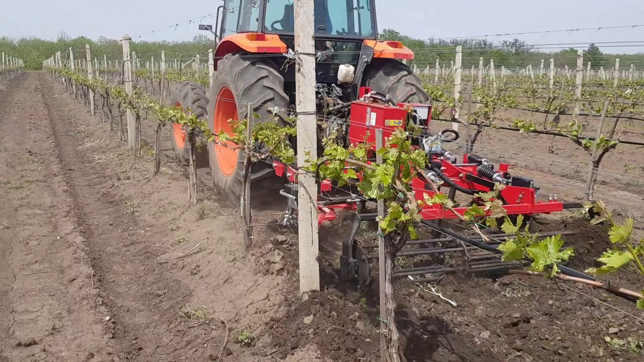 ISP Group - Cultivator ID-David cu Palpatori.