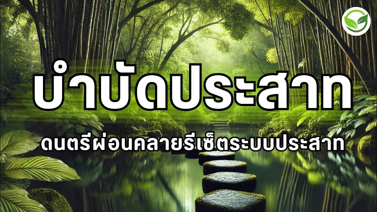 ดนตรีผ่อนคลายสมอง ดนตรีบำบัดระบบประสาท ให้กลับมาสมดุล เพลงรีเซ็ตสมอง ดนตรีบำบัด เพลงฟื้นฟูระบบประสาท