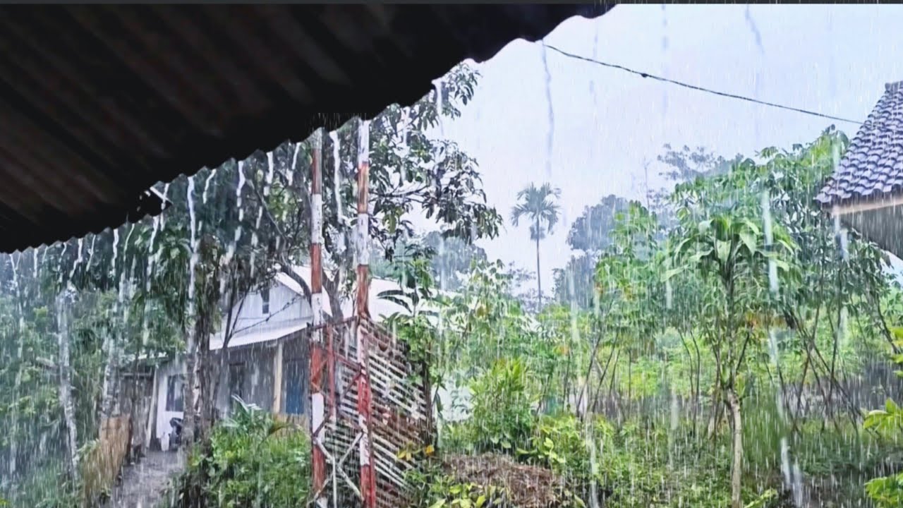 Ultimate Loud Rain 🌧️ Fall Asleep FAST & Stay Asleep 🛌