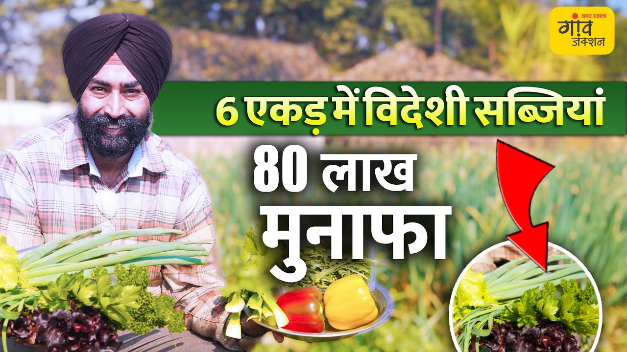 बर्गर से आया आइडिया, शुरू की विदेशी सब्जियों की खेती, अब 6 एकड़ से 1 करोड़ तक कमाई