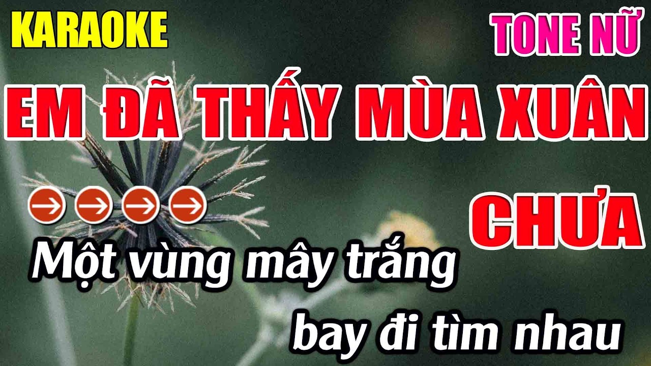 Em Đã Thấy Mùa Xuân Chưa Karaoke Tone Nữ Karaoke Lâm Nhạc Sống 2026 - Beat Mới