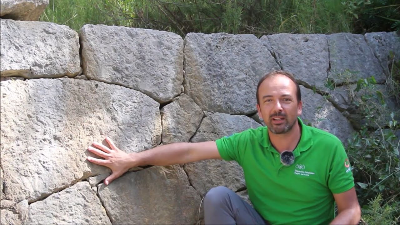 MI CLASE NATURAL: La historia de su bosque