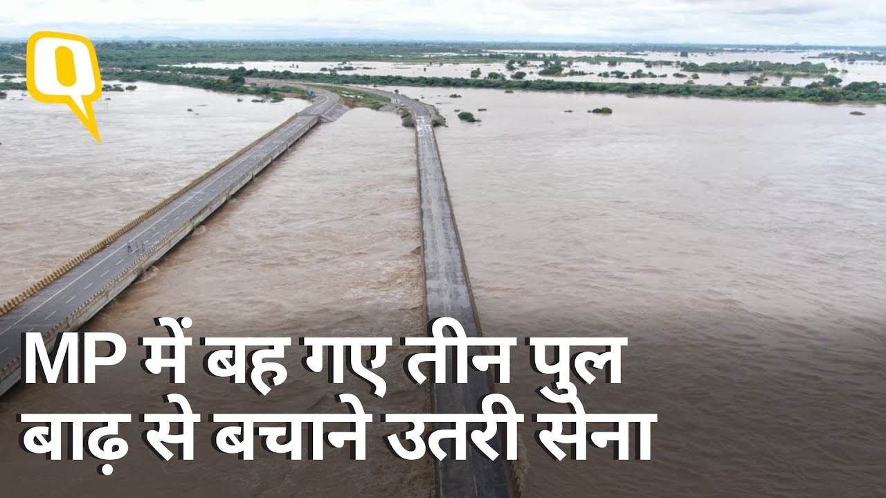 Madhya Pradesh में बढ़ा बाढ़ का संकट, 2 दिन में Sindh River पर बने 3 पुल टूटे,14 की मौत ।Quint Hindi