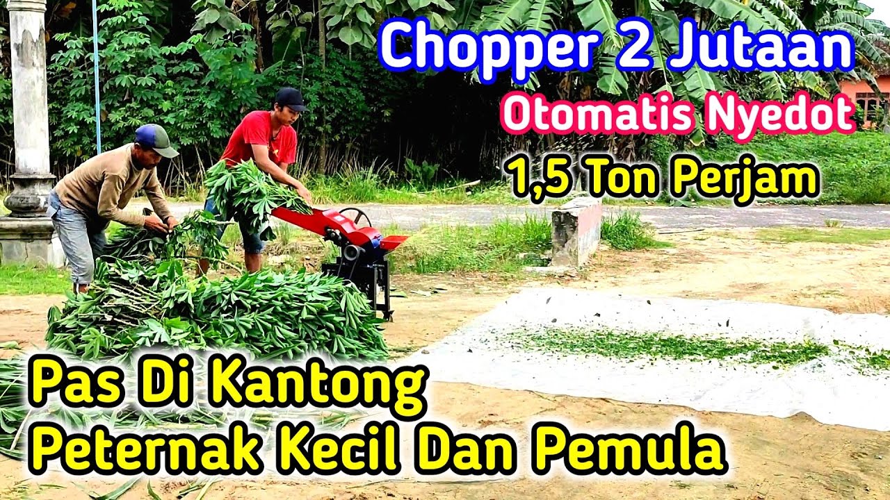 Mesin Pencacah Rumput JT-3500 Kapasitas 1,5 Ton Perjam Cuma 2 Jutaan