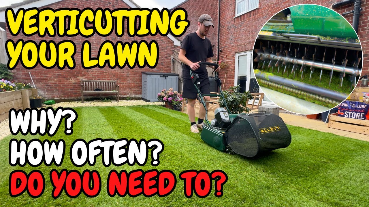 A Guide to VERTICUTTING your LAWN - Why? How Often? Do you need to?