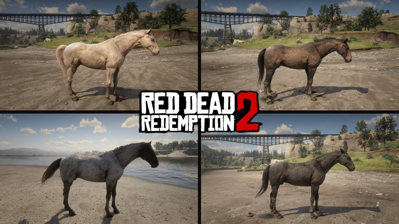 Dutch Warmblood Horses in RDR2 & How to Get Them