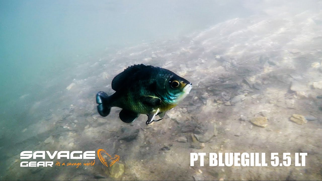 Savage Gear Line Thru Pulse Tail Bluegill