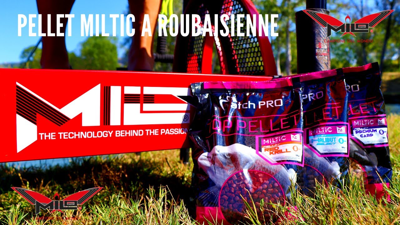 MILO TV - La Pesca a Pellet in Roubaisienne