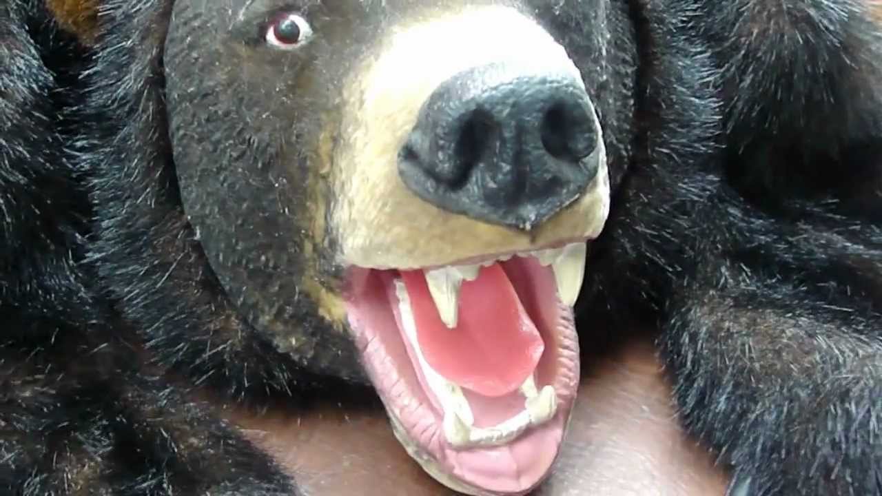 M4H09887.MP4  Bud the Talking Bear  part 3