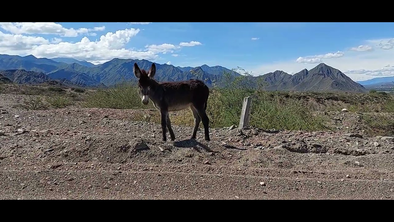NOA :: Salta - Seclant&aacute;s