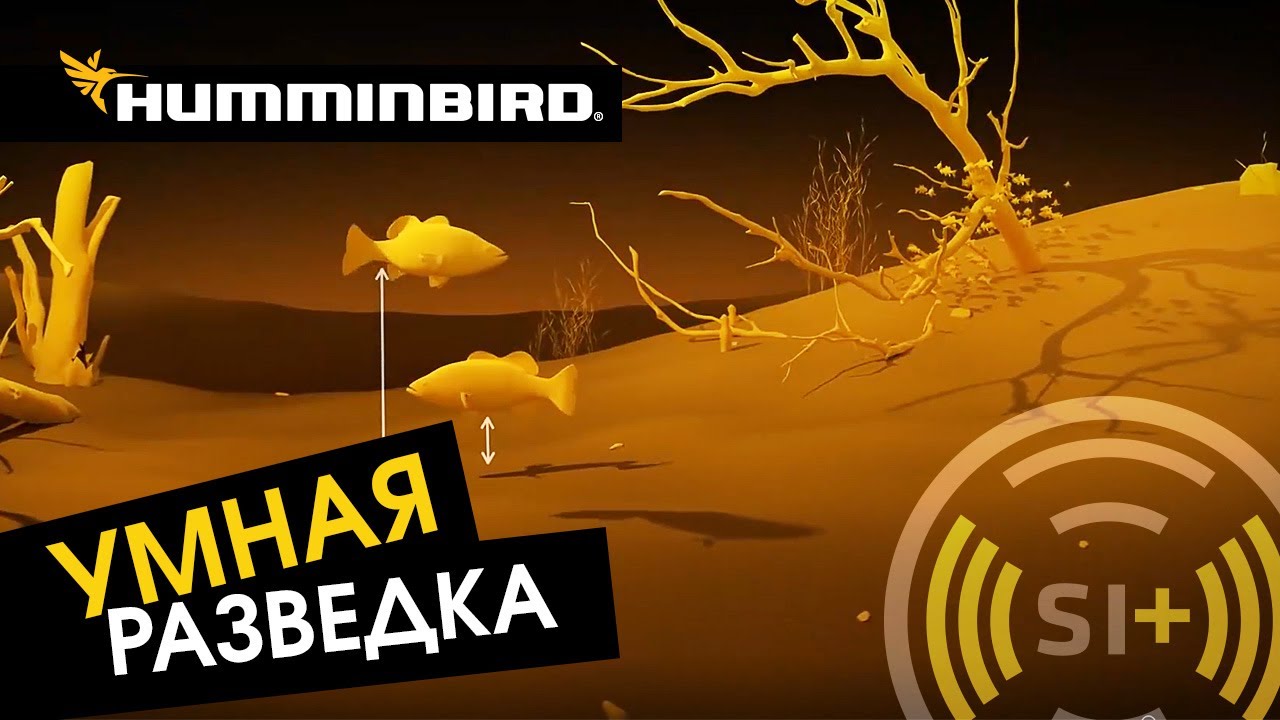 Уникальная технология поиска рыбы Mega Side Imaging. Как ловить больше с эхолотом Humminbird?