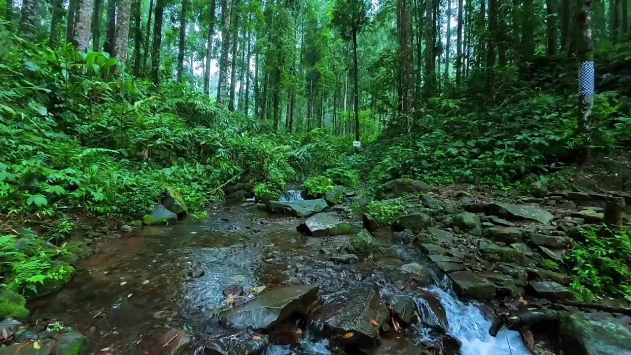 Peaceful Transformation Through the Gentle River Flow