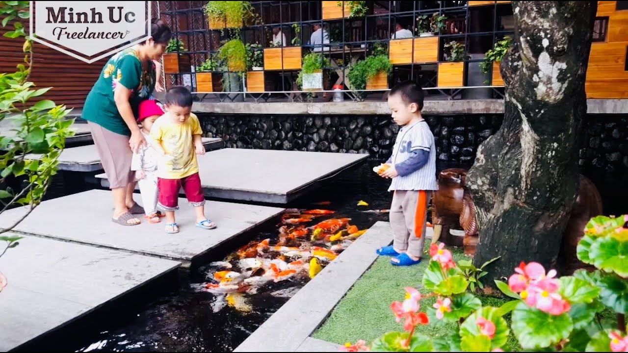 Hồ cá Koi sân vườn đẹp ở Quy Nhơn ☕ Khám phá quán cafe có hồ cá koi đẹp 🐬 Koi Fish Pond Ideas