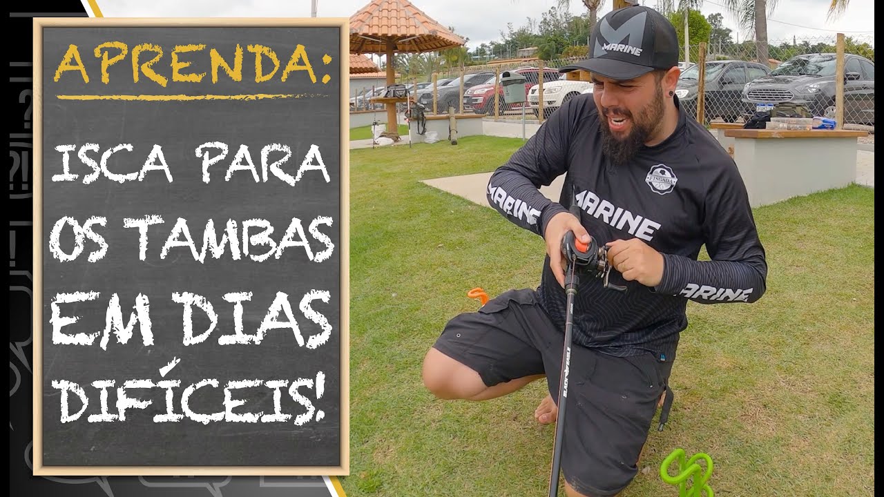APRENDA: ISCA PARA OS TAMBAS EM DIAS DIFÍCEIS!!!