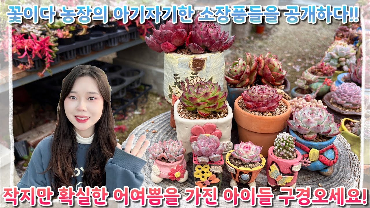 꽃이다 농장의 작품소개 !! 하지만 오늘만은 조금 다른걸 보여준다는 막내사장님! 다들 새로운 느낌의 소장품 소개영상 구경하러 오세요 ~!