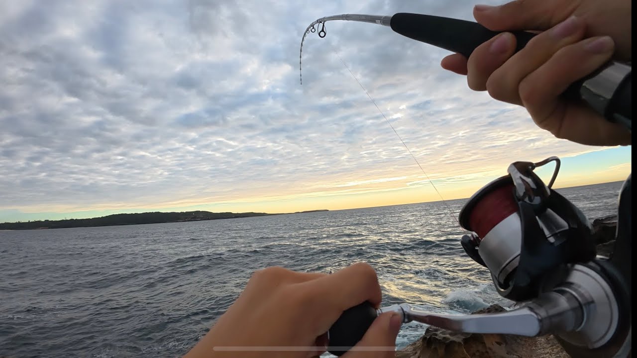 Sydney Rockfishing Metals