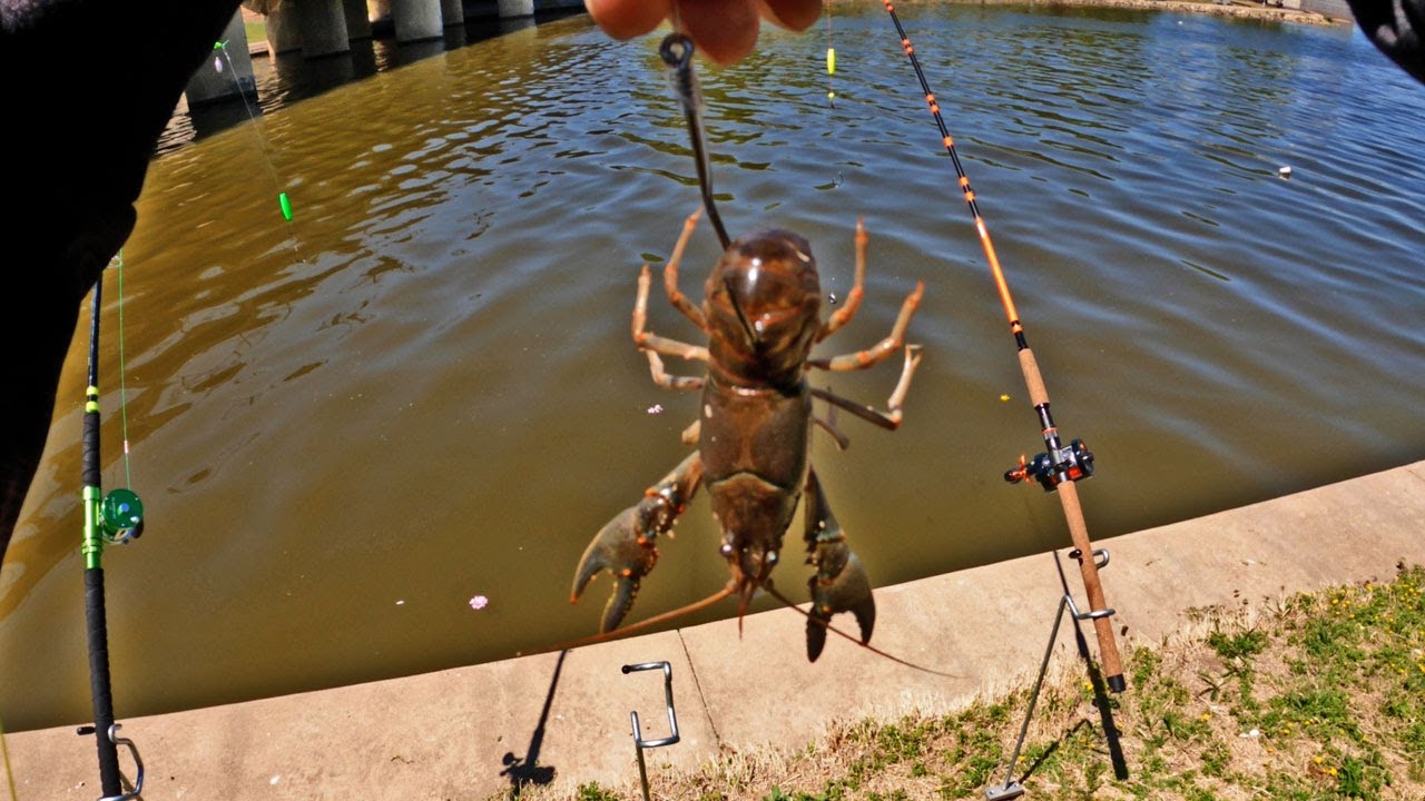 Catfishing On The River! (Bank Fishing)