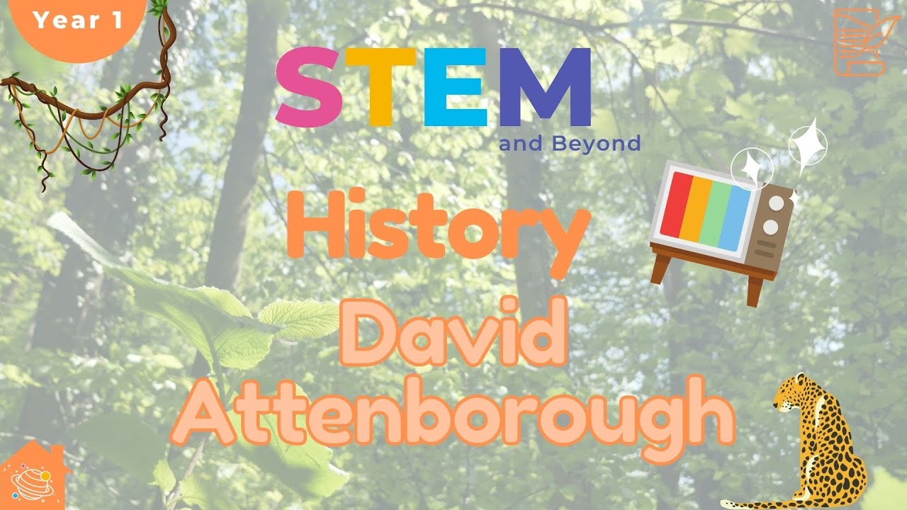 David Attenborough | KS1 History |  Home Learning