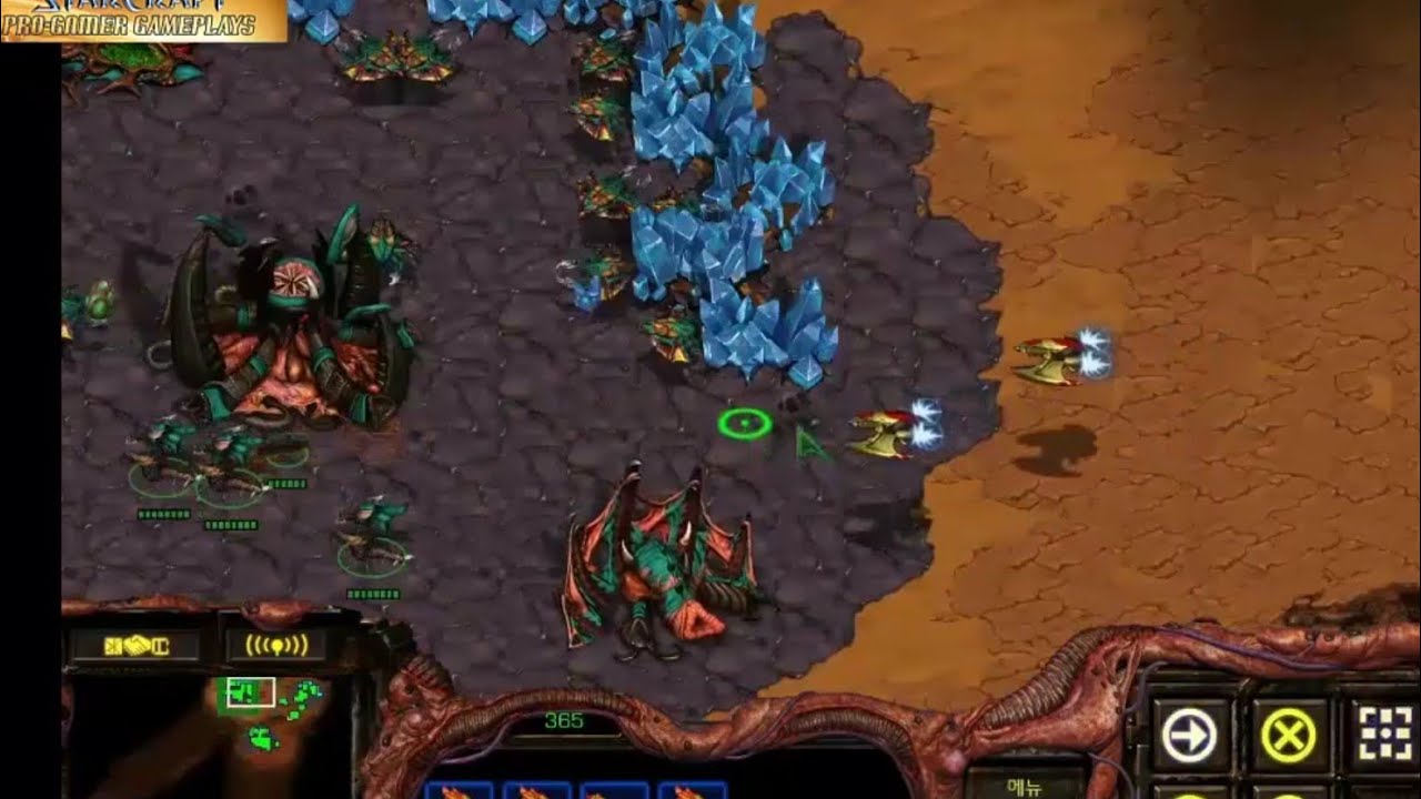 ScVOD Jaedong vs Bisu ZvP #007 @GoldRush