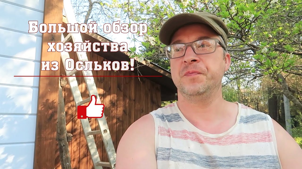 Большой обзор хозяйства из Осельков
