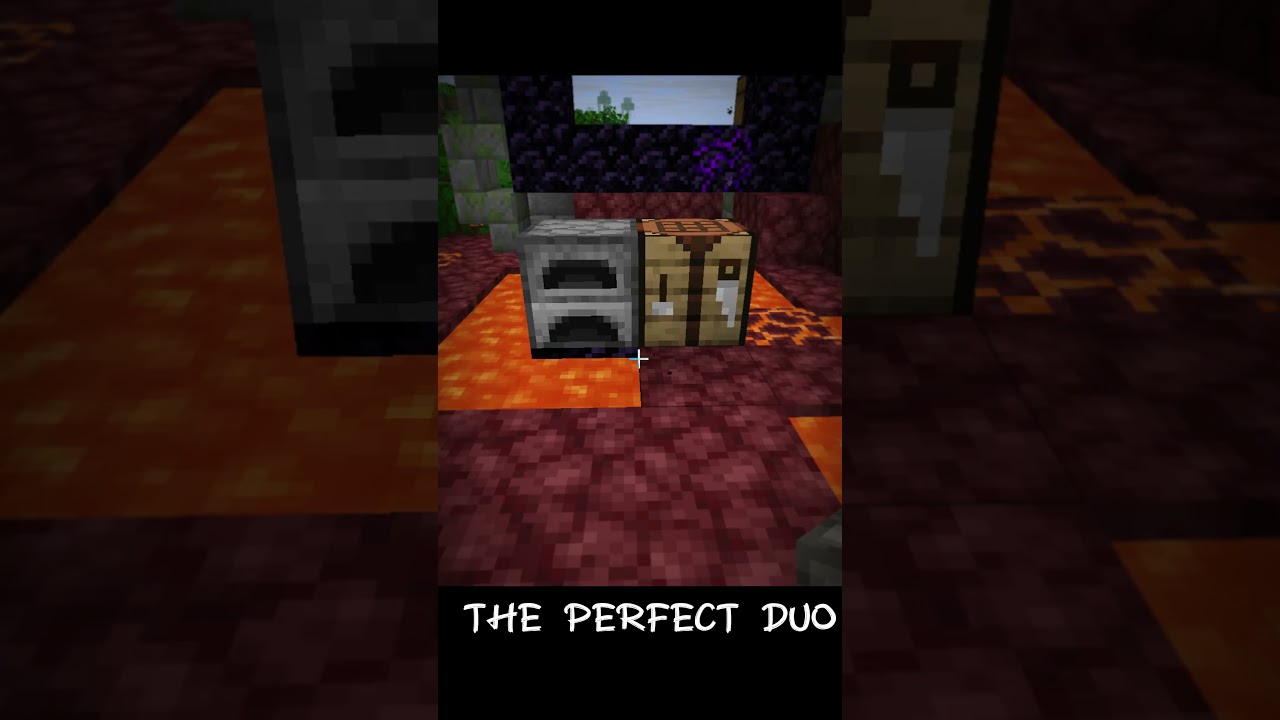 The perfect duo #minecraft #gaming #minecraftsurvivalgames #youtubeshorts #minecraftsurvival