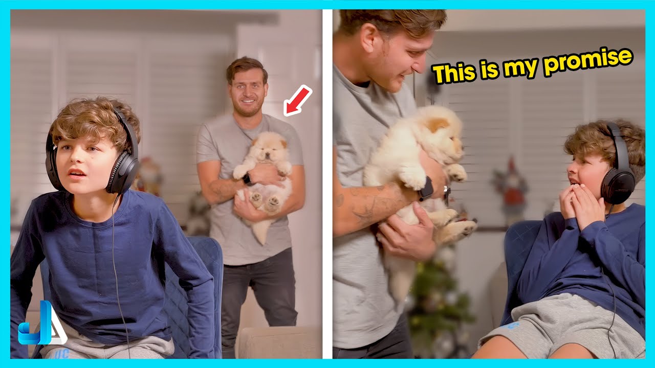 New Puppy Surprise Compilation 2025 🥰 Best Reactions Ever!