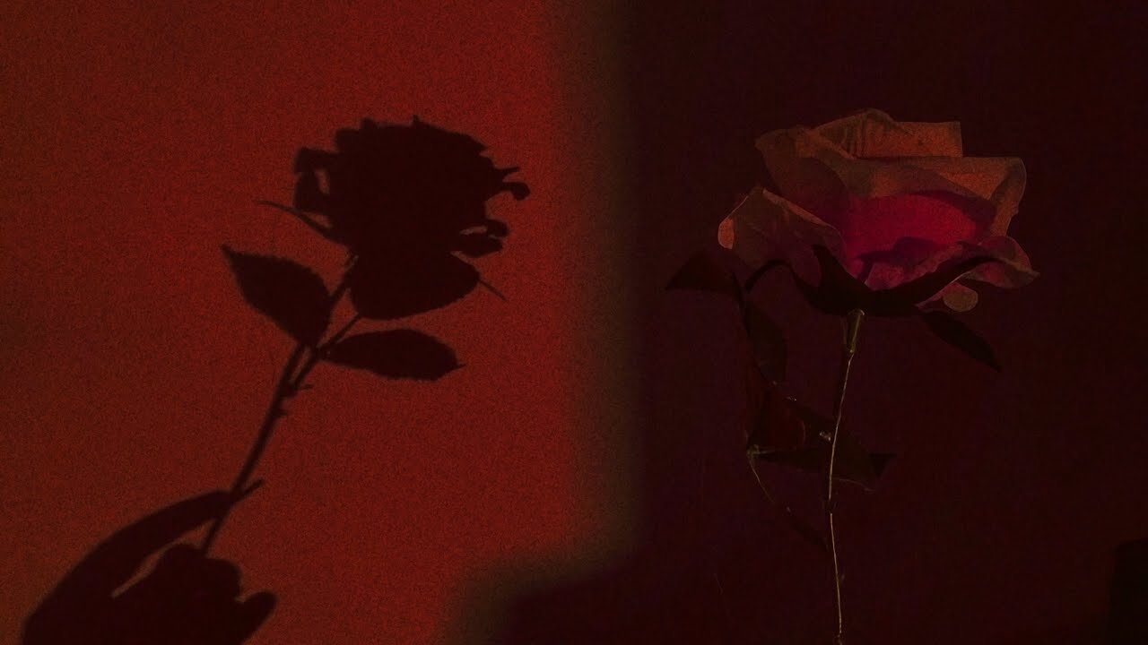 ‎𐦍 DR S/O helps you shift 〚Thea’s ultimate shifting/respawning brew〛