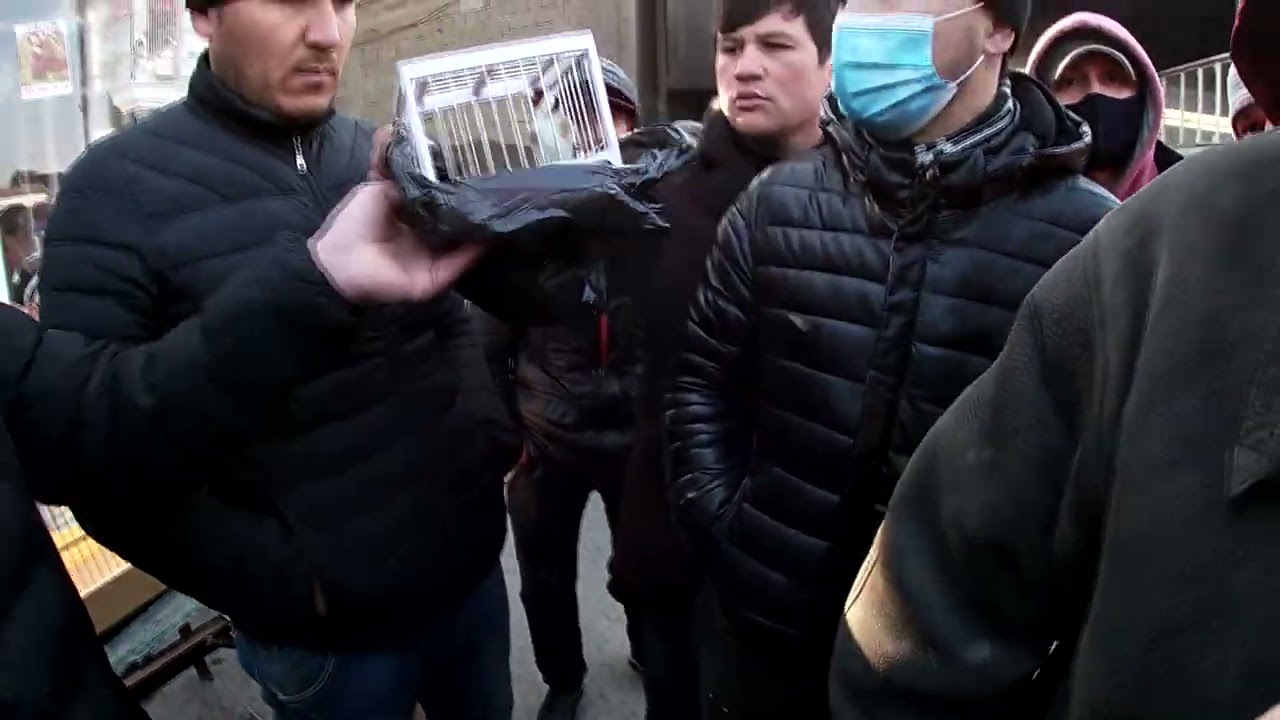 Панҷшанбе парранда бозор. ш. Хуҷанд | МОЛБОЗОРИ ХУҶАНД