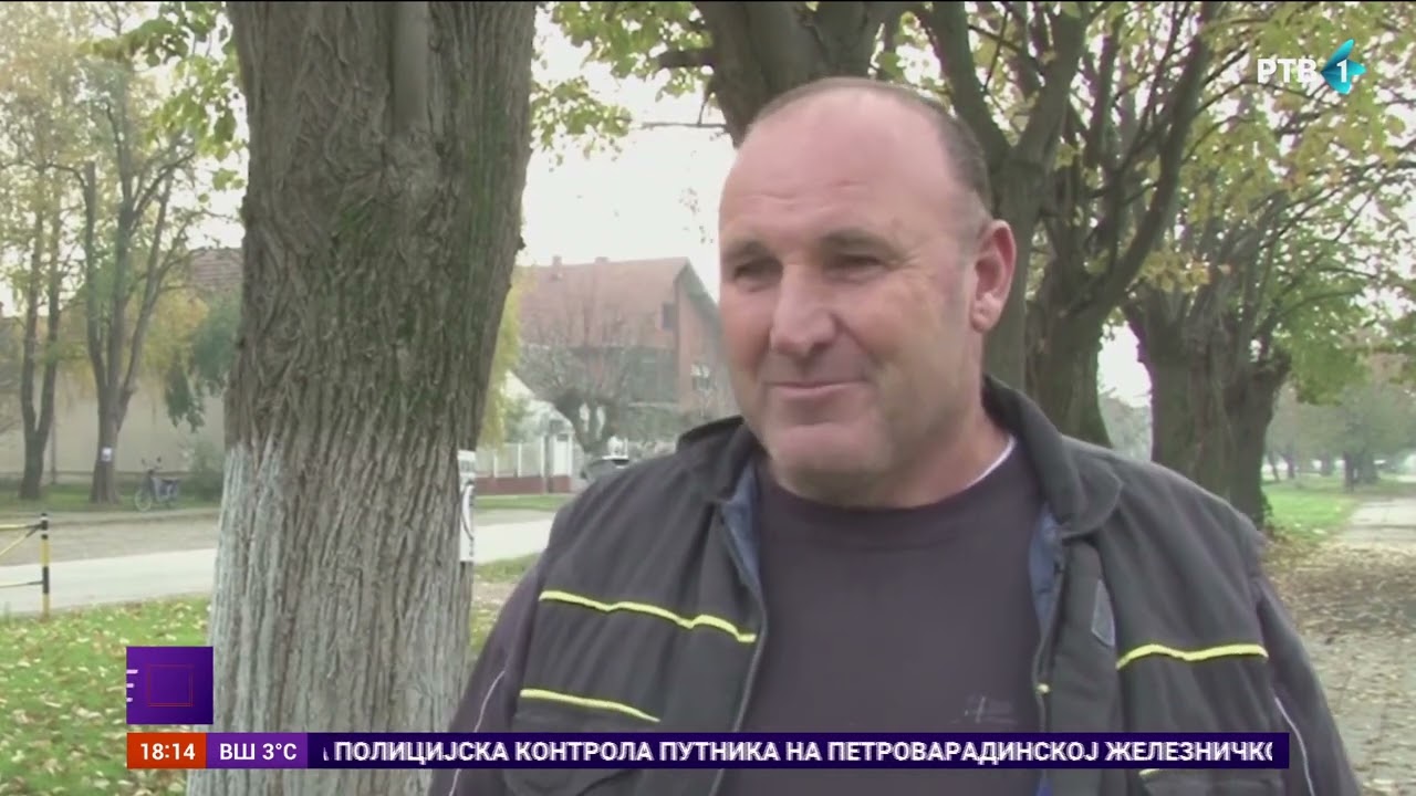 Afrička kuga svinja otkrivena u četiri domaćinstva u Martincima