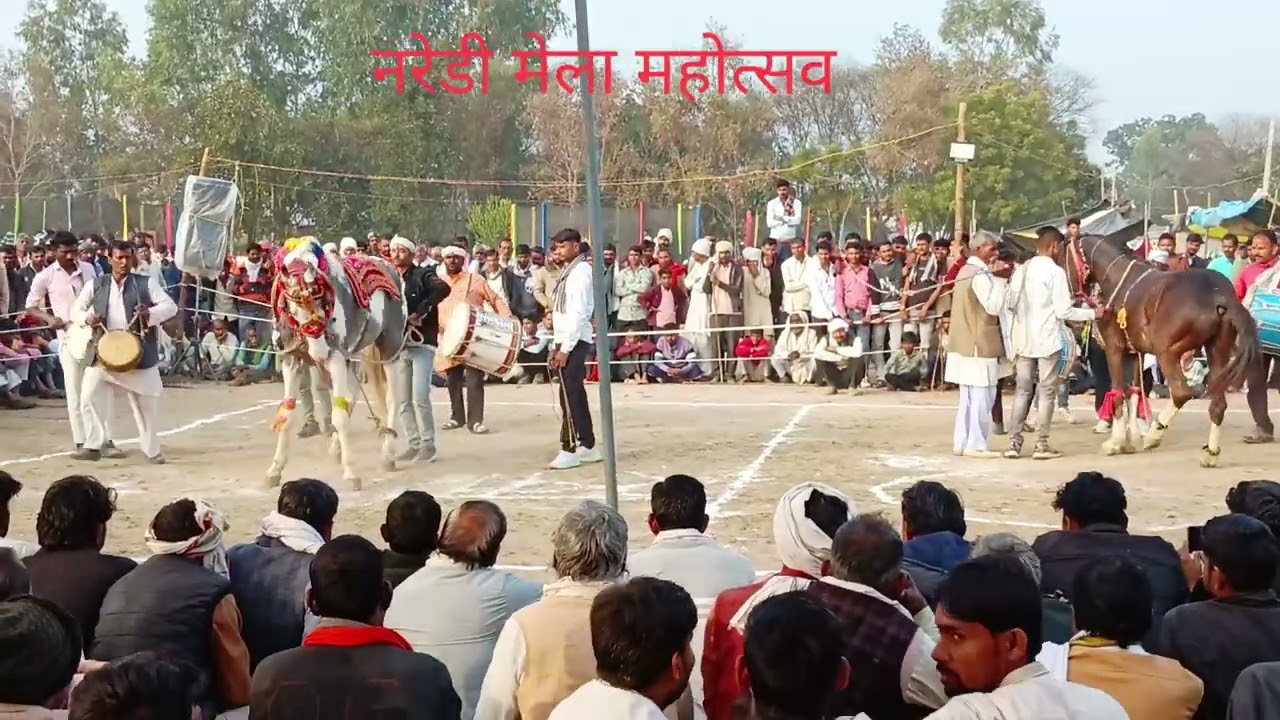 मेला महोत्सव नरेडी महोबा बबलू यादव खोनारिया द्वारका प्रसाद यादव नरेडी घोड़े का डांस कंपटीशन