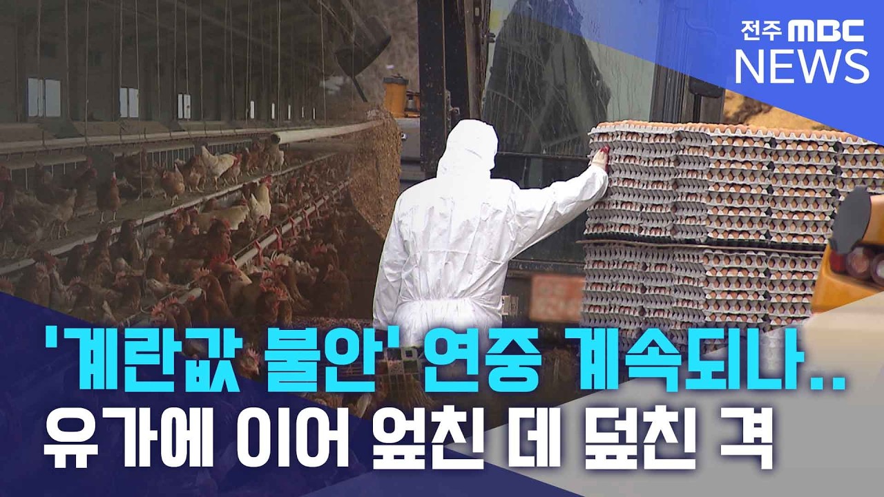 '계란값 불안' 연중 계속되나..유가에 이어 엎친 데 덮친 격 | 전주MBC 260318 방송