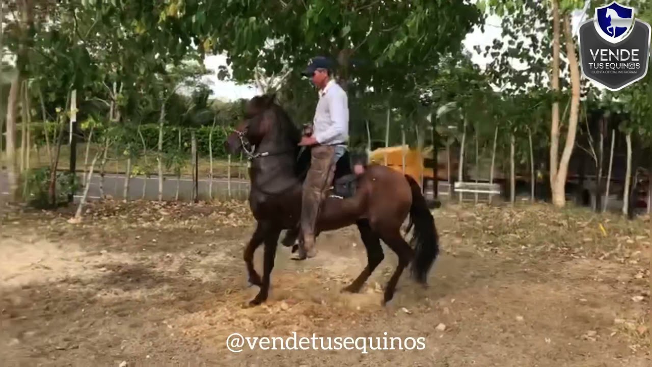 EN VENTA: Seductor de Villa Milena