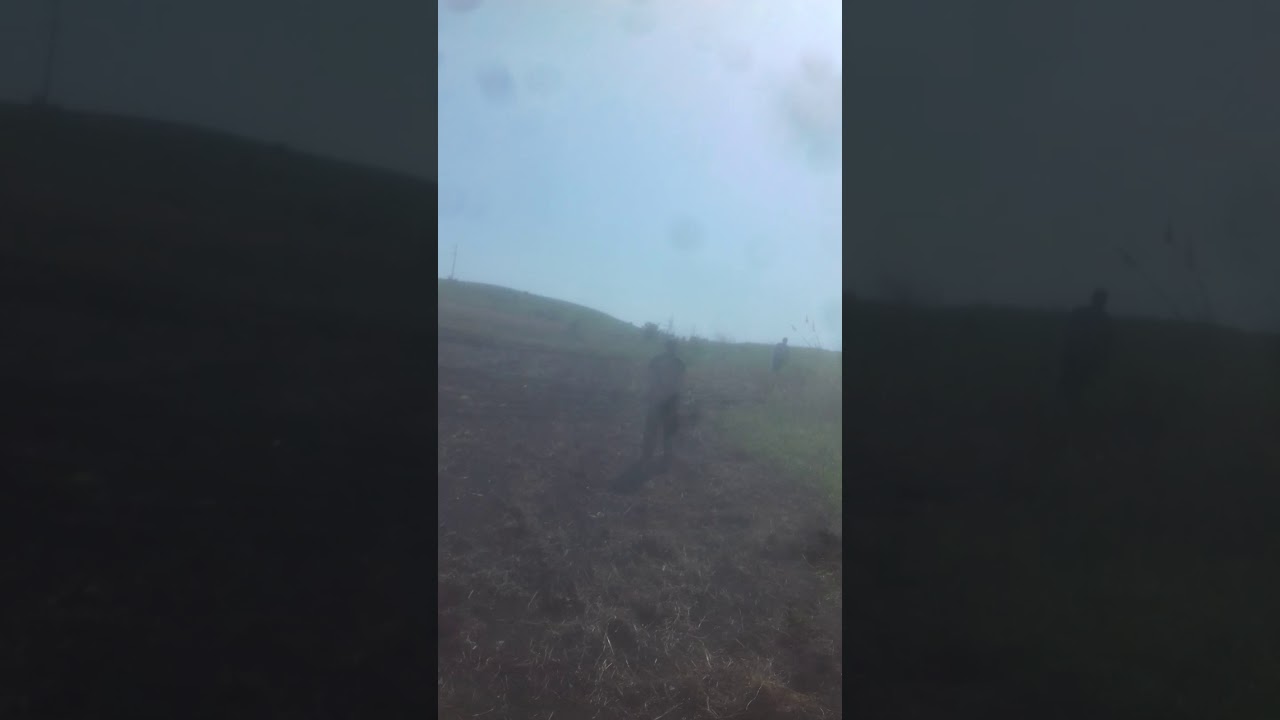 Підвисока приколи